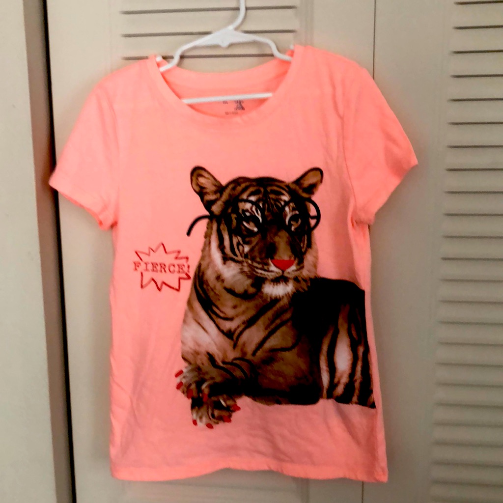 Brand New Without Tags Gap Kids Brand Tiger Tee Brand New Without Tags Gap Kids Brand Tiger Tee